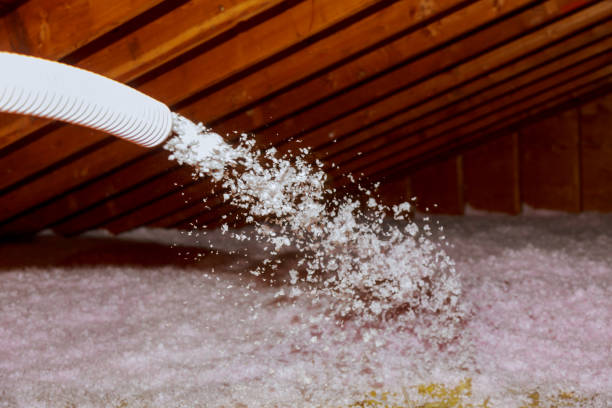 Best Commercial Insulation in Toona, AL